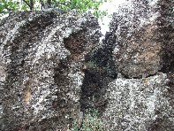 otta Intraleo-20100515 004